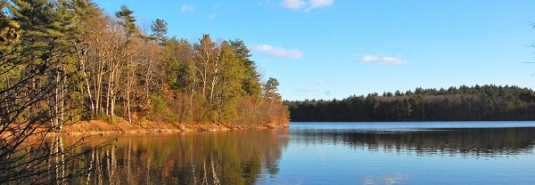 Walden Pond