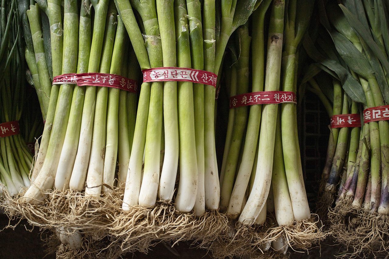 한국에선 지난 10일 제22대 국회의원 선거가 치러졌다. 그런데 지난 총선 레이스를 지배한 이슈 중 하나는 대파였다. Ⓒ 사진 = 지유석 기자