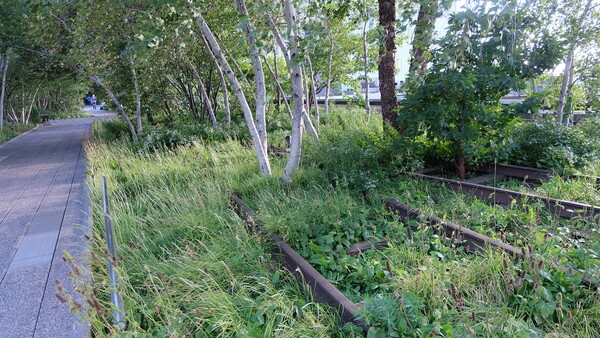 뉴욕하이라인,  "정원은 문명과 자연의 긴장을 해소하는 완충이자 회복의 공간이다" 세미나에서 @ 사진 이성희 